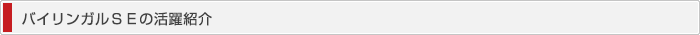 バイリンガルＳＥの活躍紹介