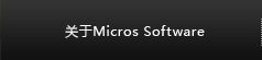 关于Micros Software