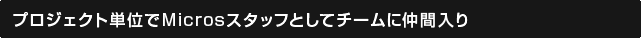 プロジェクト単位でMicrosスタッフとしてチームに仲間入り